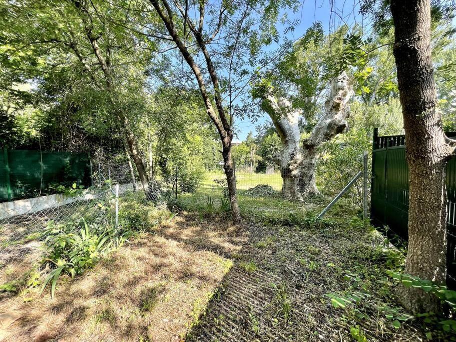 Ravissant Appartement A 5Min Du Centre Ville D'Aix 普罗旺斯地区艾克斯 外观 照片